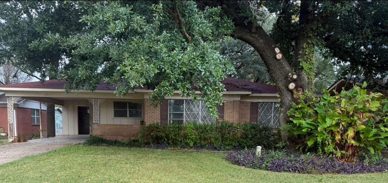 1118 Carolina Street #1118