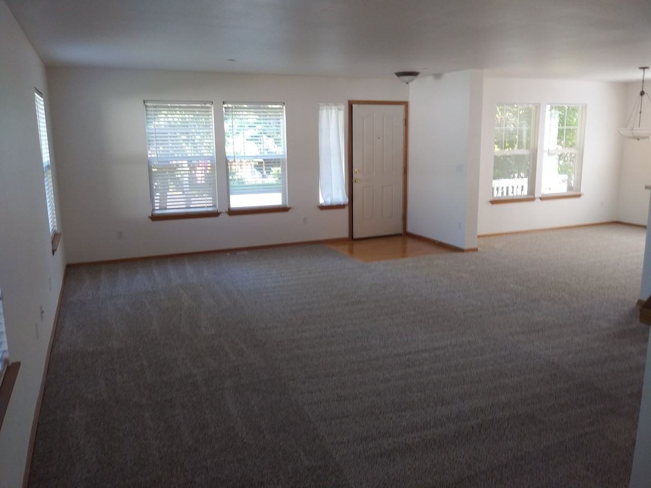 2807 Mcneil Street - Photo 2 of 19