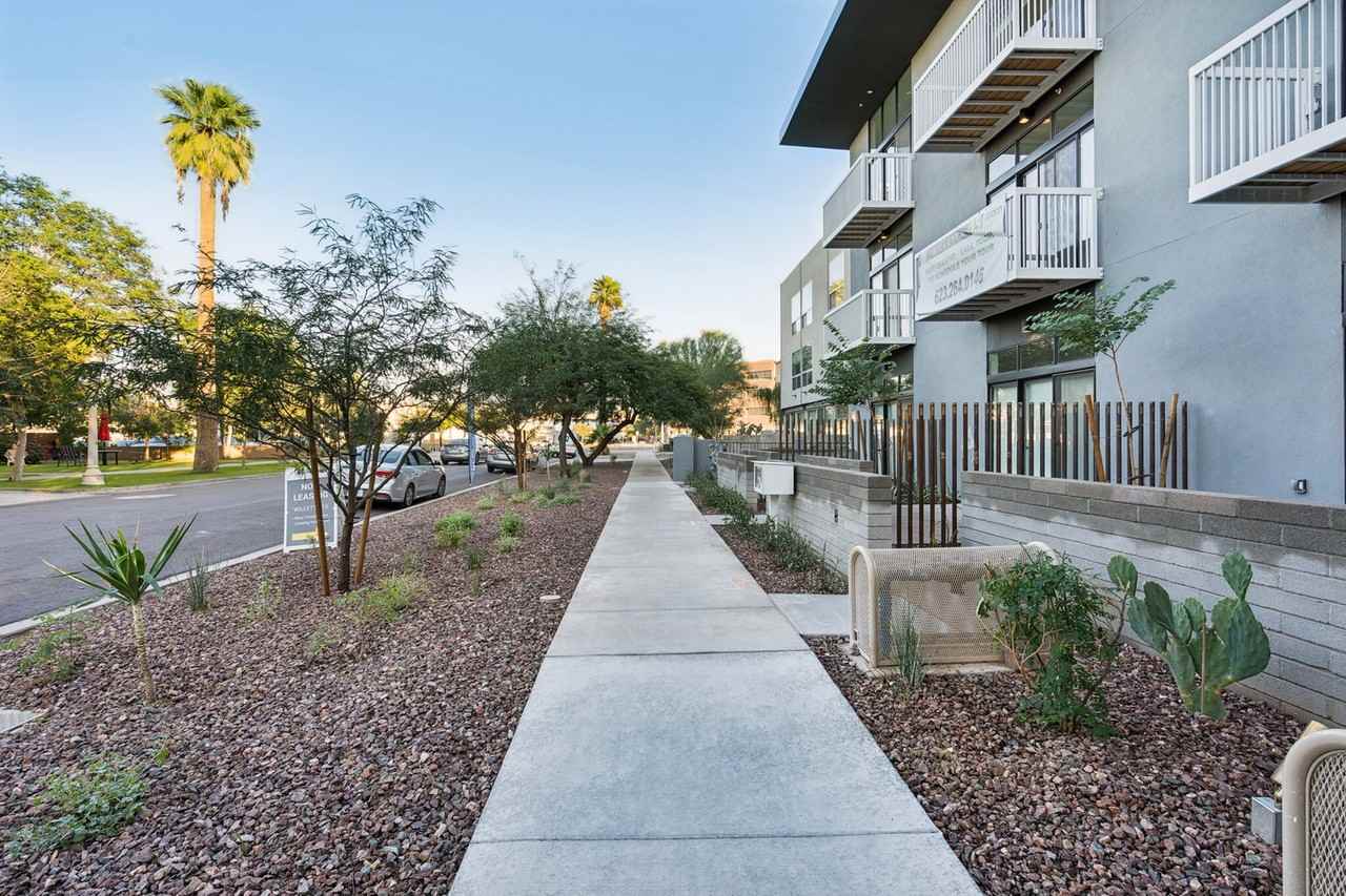 Willetta 15 - Photo 5 of 50