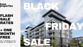 Foster - Photo 1 of 1