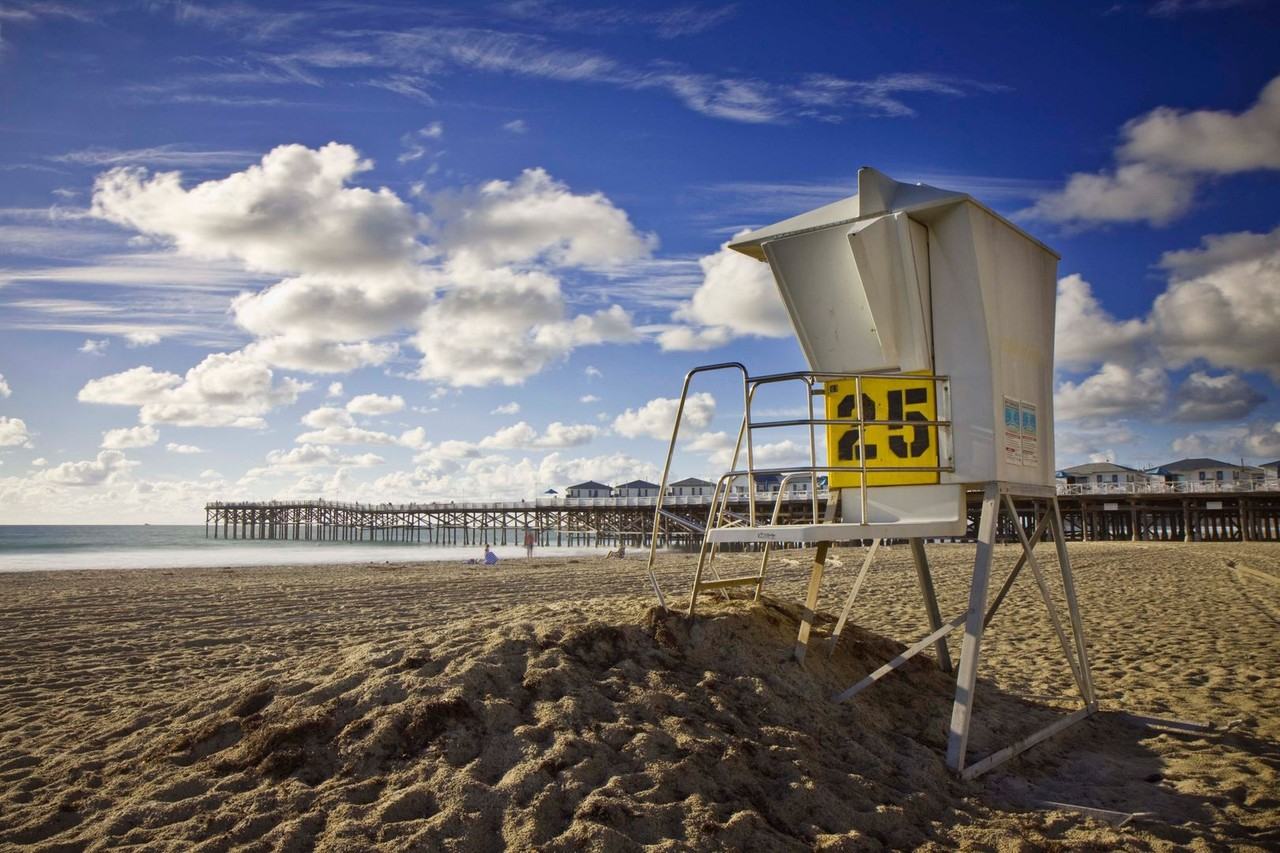 1827 Reed Avenue - Photo 3 of 13