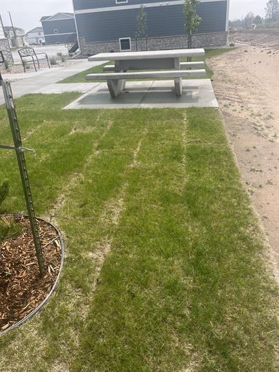 1515 Richard Martin Dr #101 - Photo 4 of 17