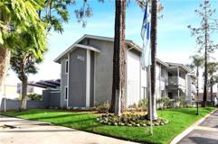 Falcon - 3420 - Gold - Photo 1 of 1