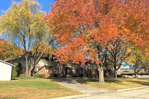 featured image of 917 Silver Lake Drive