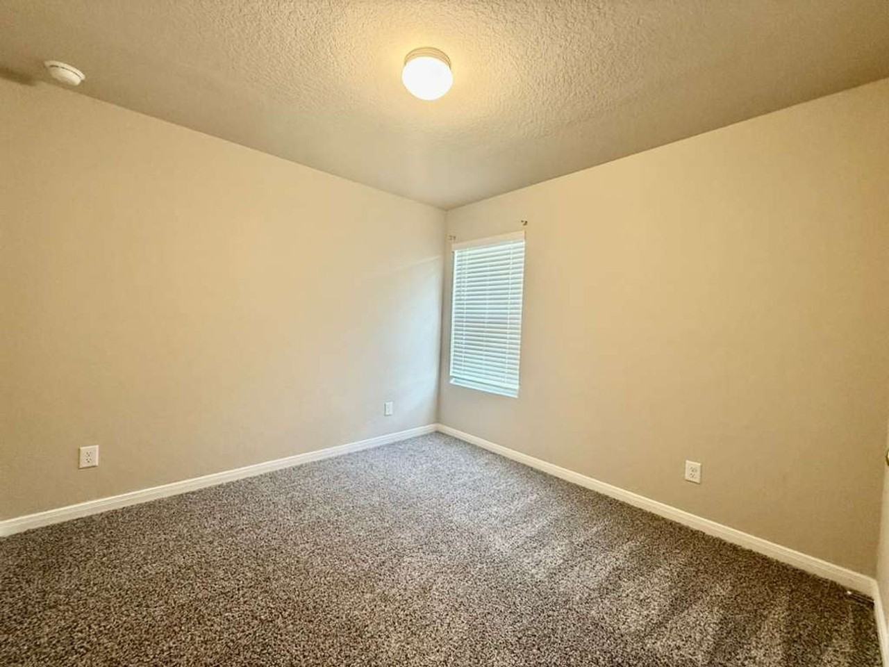 5931 Cienna Cv - Photo 3 of 20