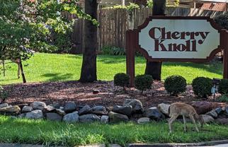 723 Whitcomb Street #1 - Photo 1 of 1