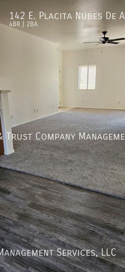 142 East Placita Nubes De Agua - Photo 3 of 17