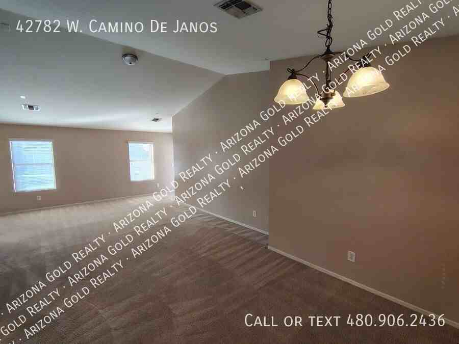 42782 W Camino De Janos - Photo 4 of 23