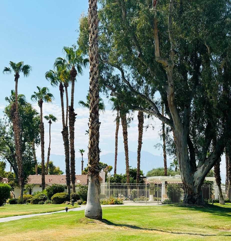 75325 Pino Dr #75325 - Photo 3 of 14