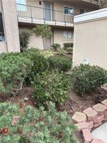 3367 Punta Alta - Photo 1 of 1