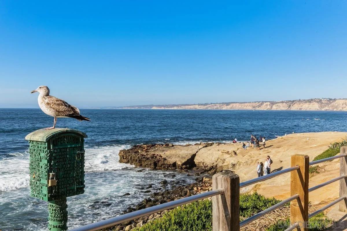 2368 Torrey Pines Road #2368-61 - Photo 5 of 40