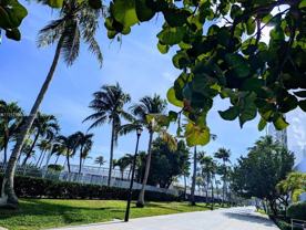 2655 Collins Avenue - Photo 1 of 1