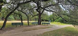 11604 Norwegian Wood Drive #11604 - Photo 1 of 1