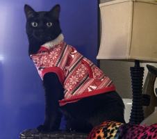 featured image of 8653 Danridge Drive