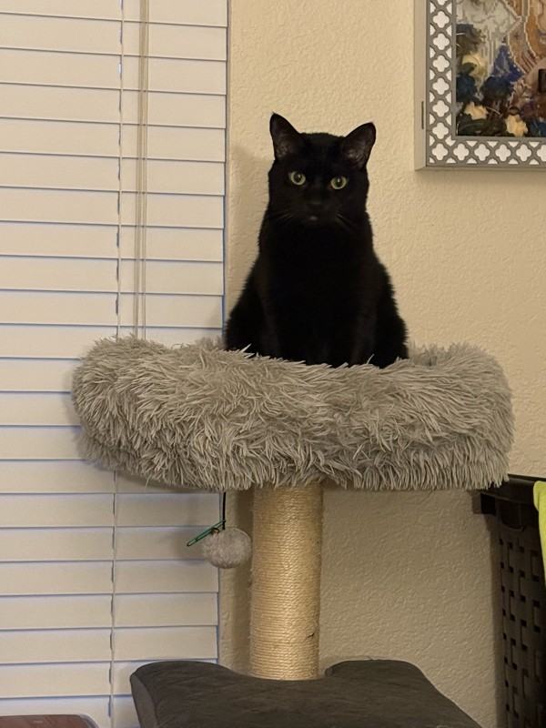 8653 Danridge Drive - Photo 2 of 10