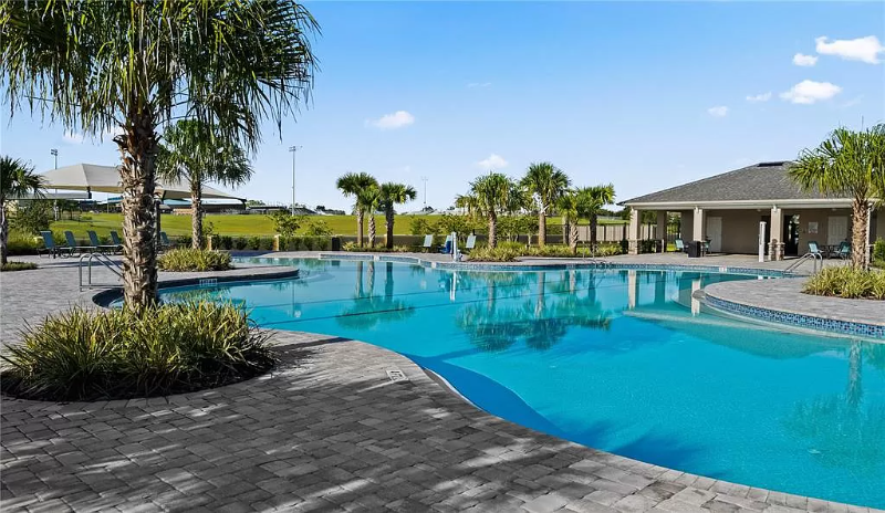 1113 Saguaro Street - Photo 2 of 23