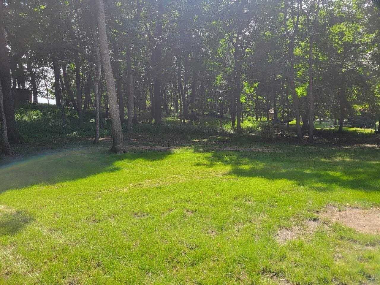 1604 Nichols Ave - Photo 6 of 49