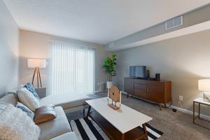 featured image of 3144 Sunswept Park Drive