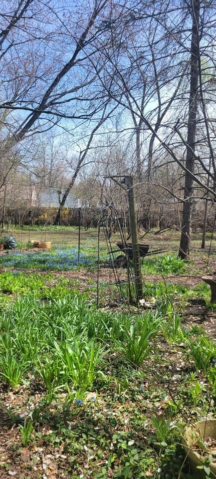 6921 Clarendon Hills Road - Photo 3 of 44