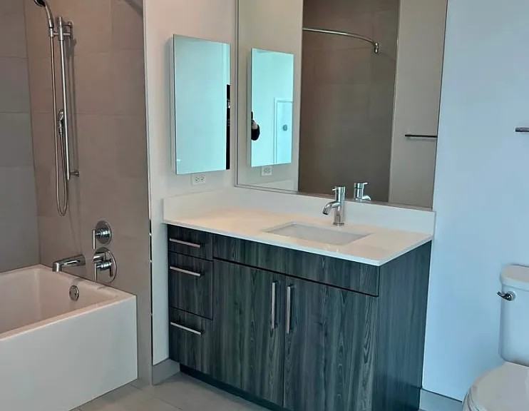 1001 North Lake Shore Drive #222 - Photo 2 of 8