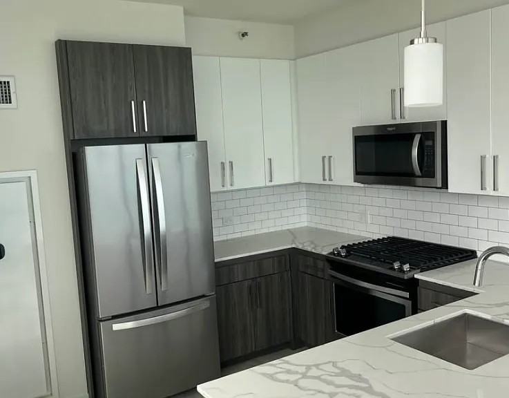 1001 North Lake Shore Drive #222 - Photo 5 of 8