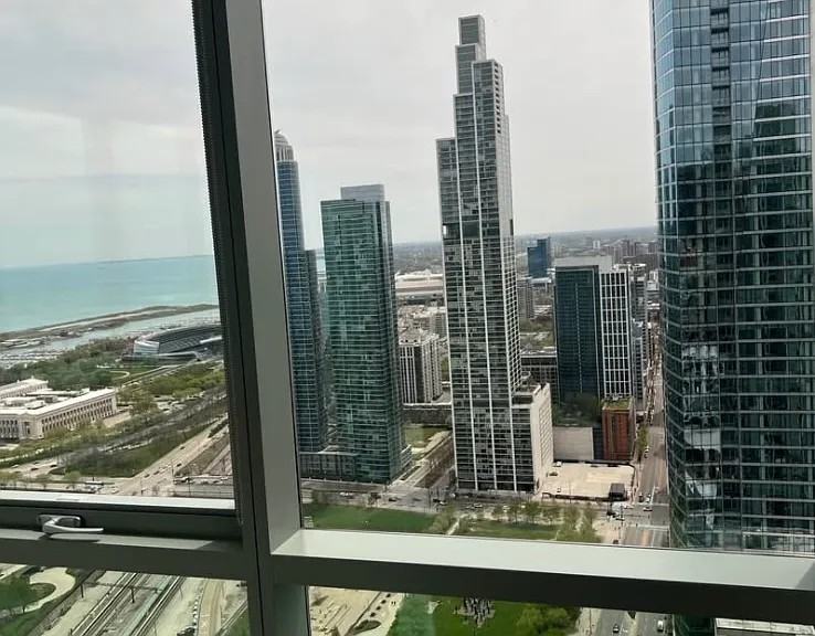 1001 North Lake Shore Drive #222 - Photo 6 of 8