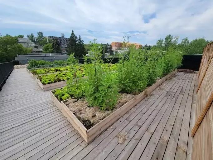 2502 16 Street SW #209 - Photo 3 of 12