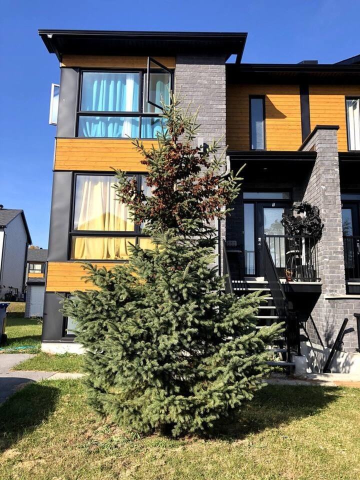 237 Rue Du Pirée #1340599P - Photo 2 of 27