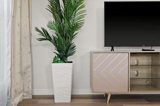 975 Cranston Avenue SE - Photo 1 of 1