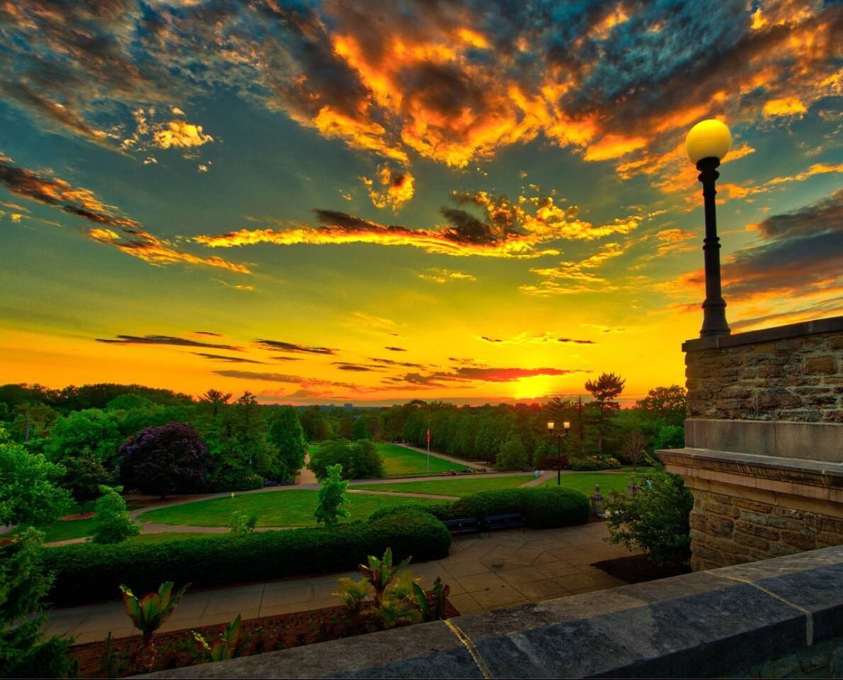 3508 Tarpis Ave #1353186P - Photo 4 of 21