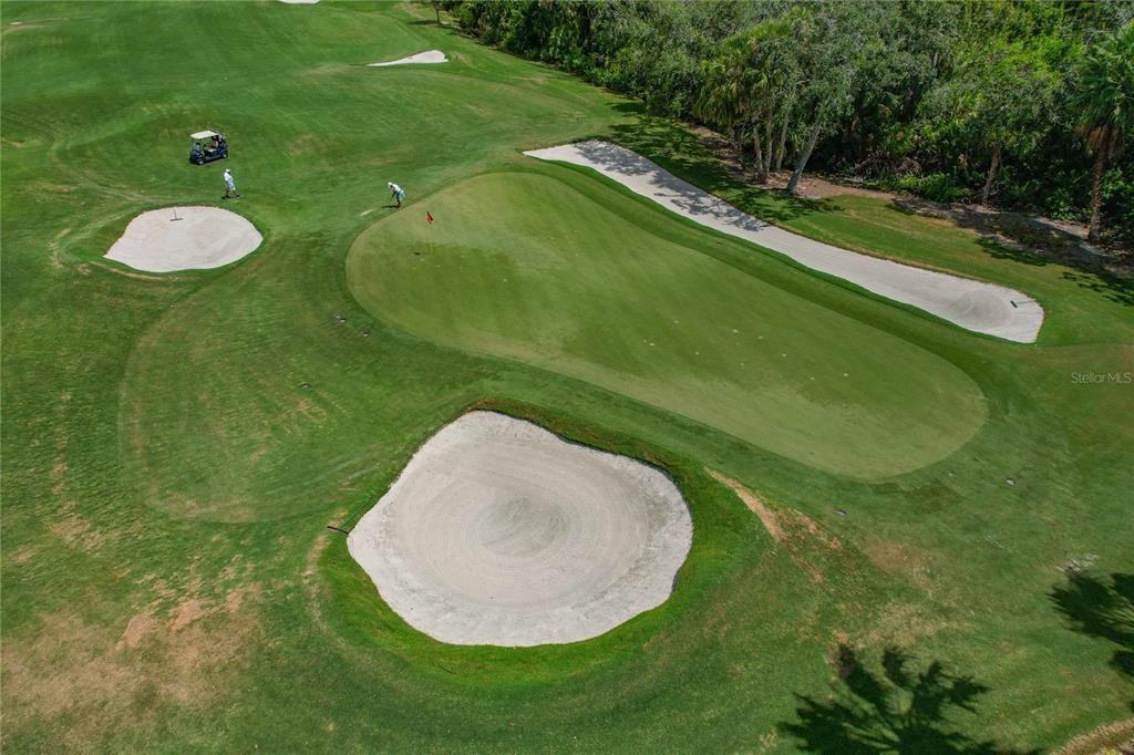 7015 River Hammock Lane #7015-208 - Photo 2 of 50