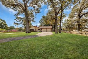 featured image of 17831 Fm 1097 #17831