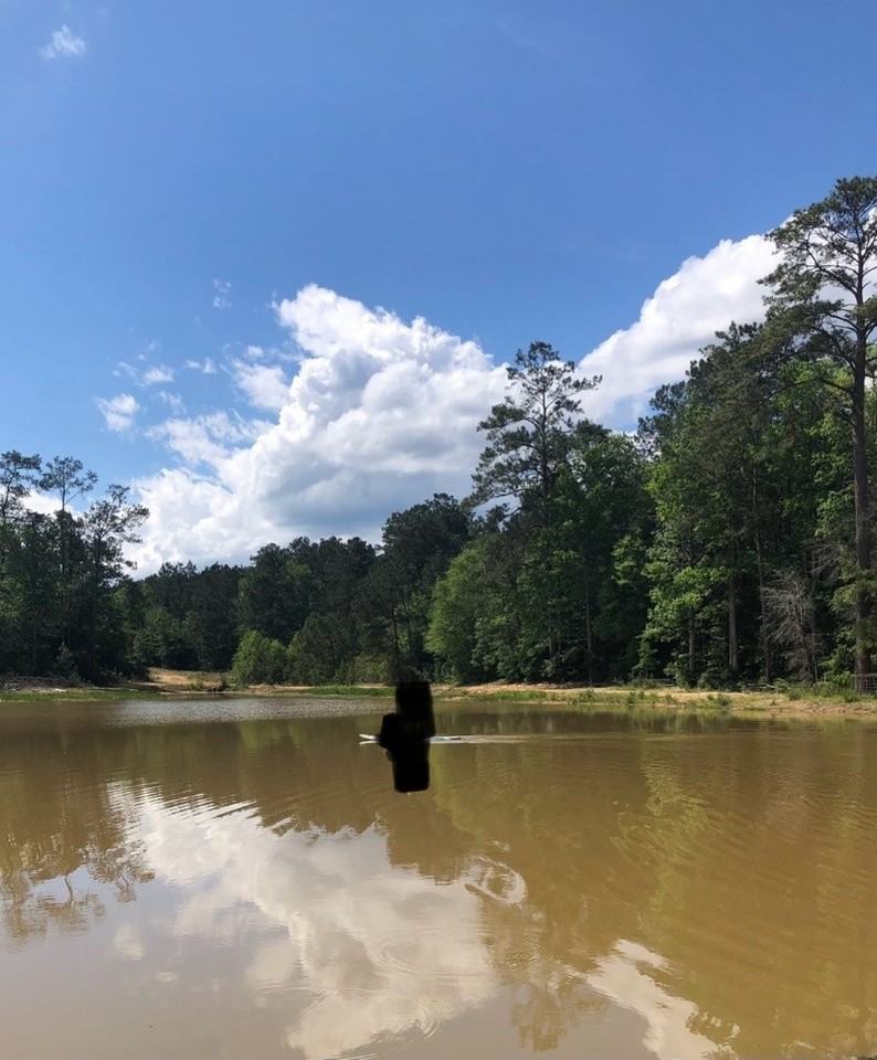 983 983 County Road #983-4350 - Photo 7 of 18