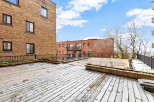 4650 Avenue Bonavista #304 - Photo 1 of 1