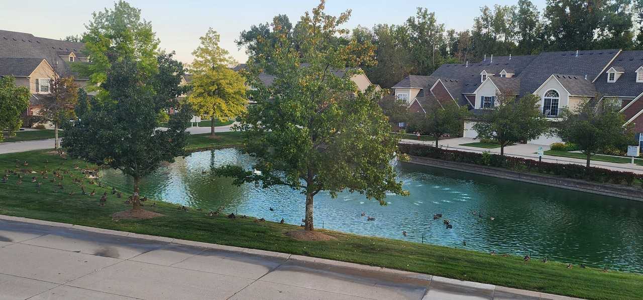 7869 Ambassador Dr #NA - Photo 6 of 48