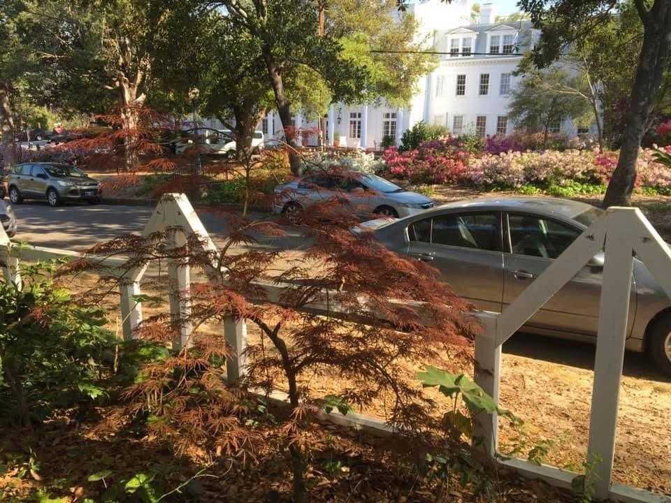 103 Colleton Ave Sw - Photo 2 of 24