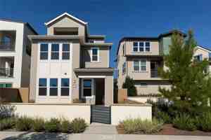 featured image of 609 Gadwall