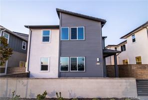 featured image of 635 Gadwall