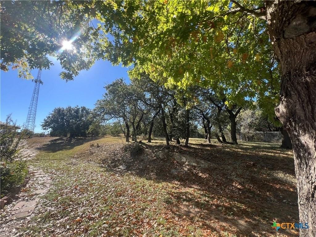 259 Cloud Ln - Photo 5 of 38