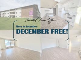 featured image of 2808 79 Street NW