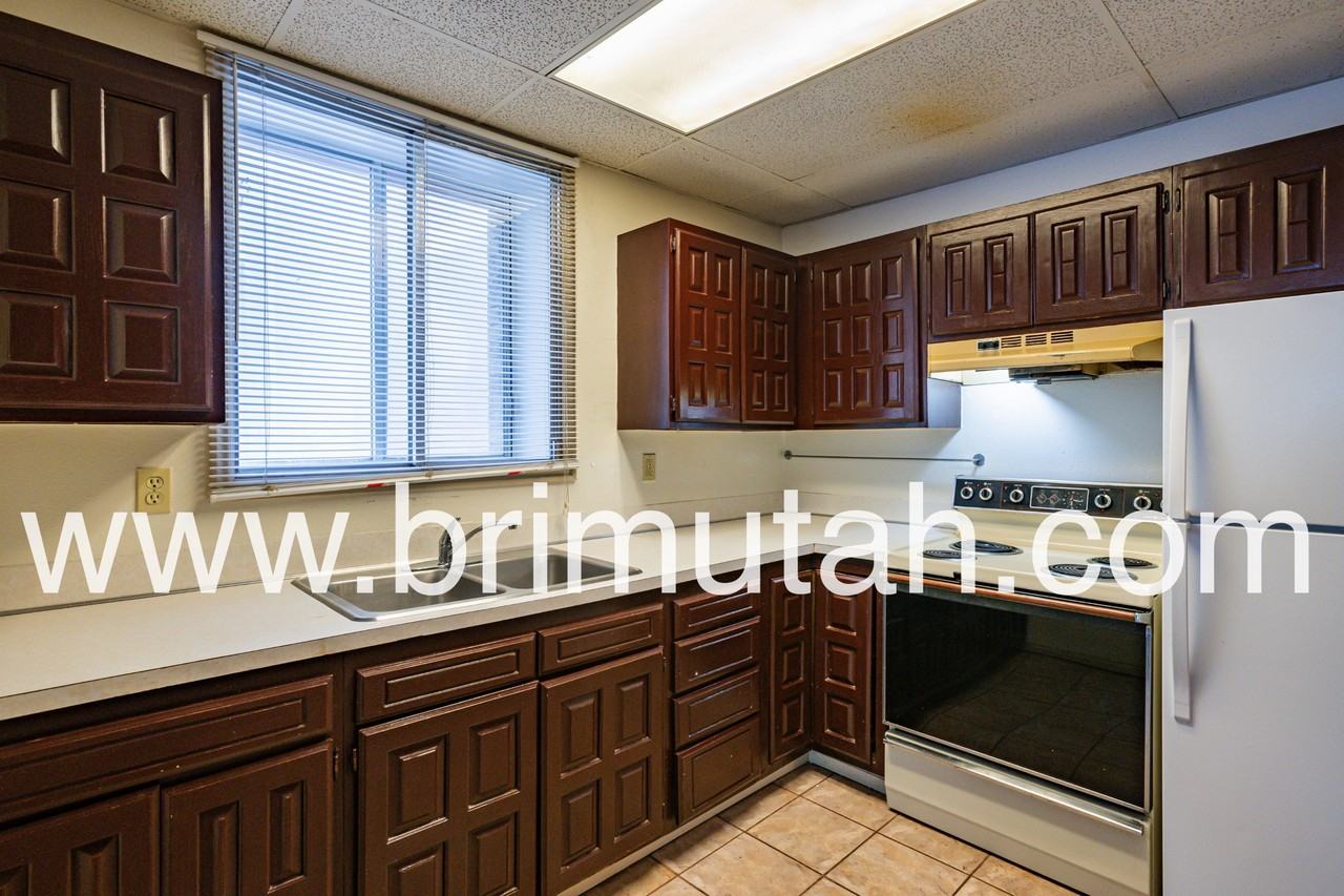 217 E. 3rd Ave. - Photo 2 of 19