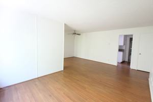 featured image of 954 Palm Avenue