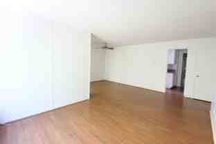 The Dahlia - Photo 1 of 1