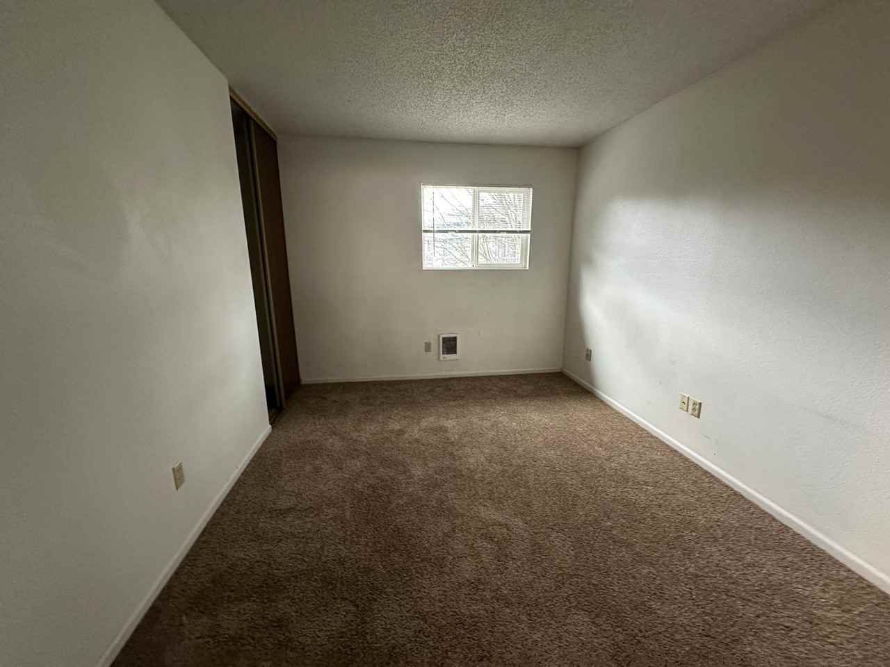 917 Pacific Avenue #14 - Photo 6 of 26