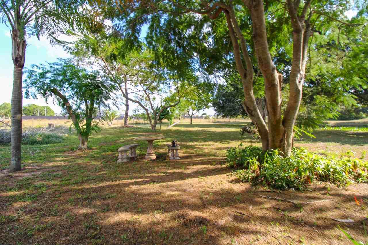 3935 70th Avenue Northeast - Photo 4 of 50