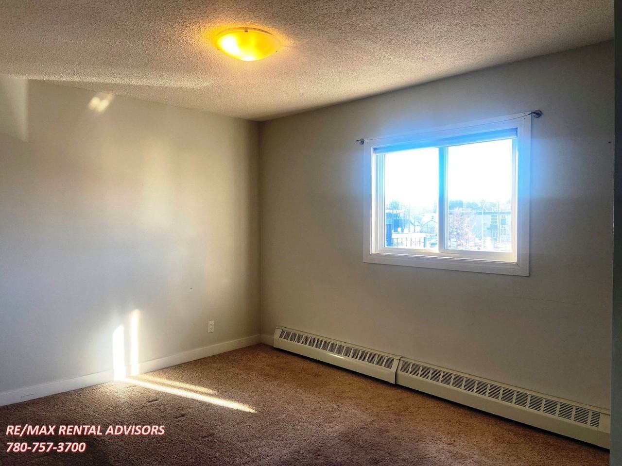 #11 9630 82 Avenue Northwest - Photo 7 of 13