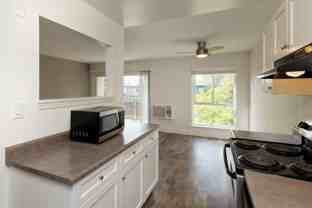 Shoreline 1841 Apartment Homes - Photo 1 of 1