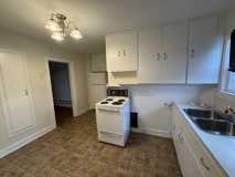 400 Lutz Street #3 - Photo 1 of 1