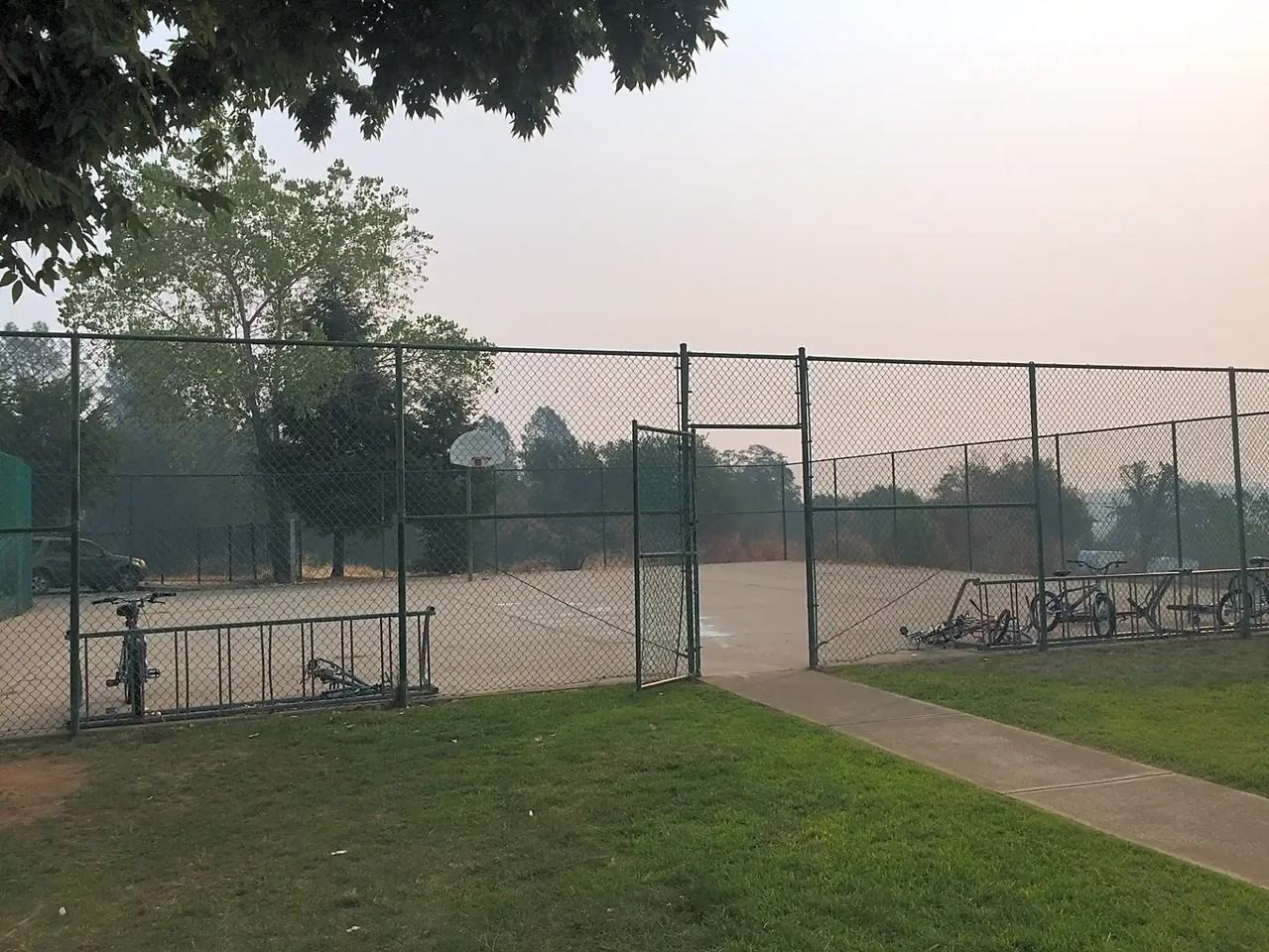 Tara Hills Garden - Photo 6 of 7