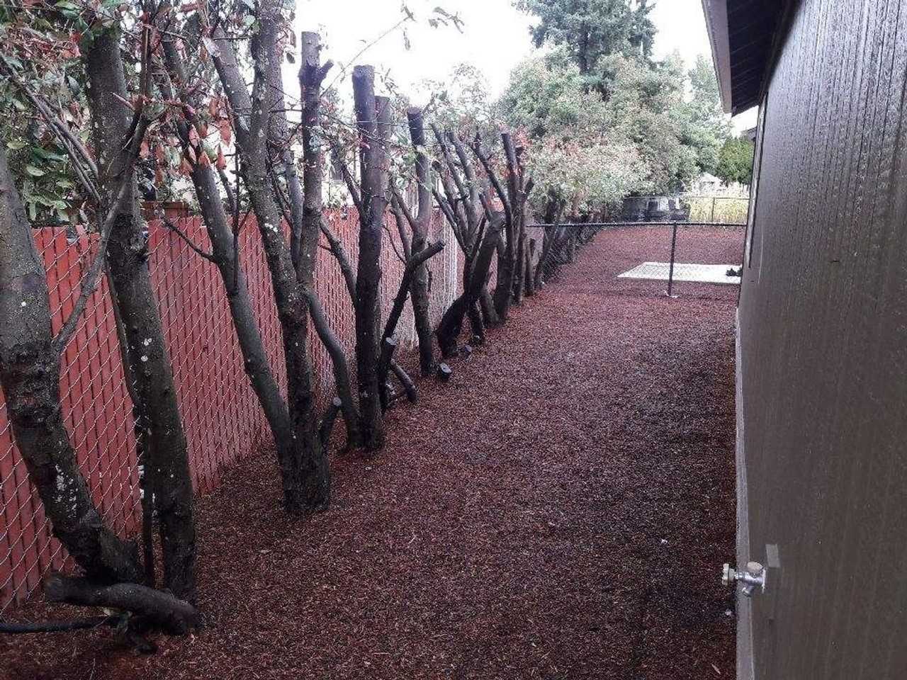 201 La Casa Street - Photo 3 of 12